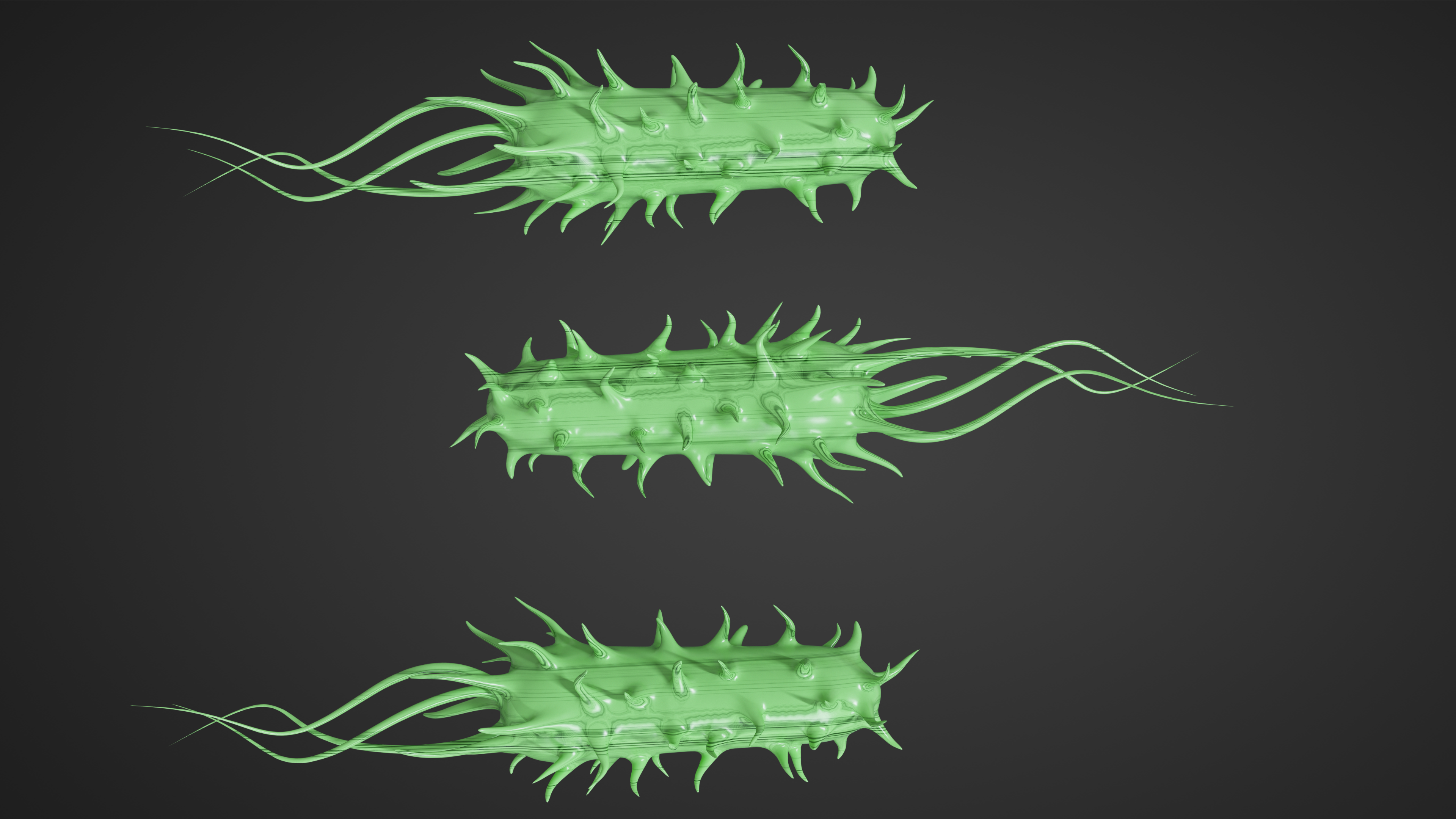 3D Prokaryotic Bacteria Model – Realistic Microbial Cell Structure | Fab