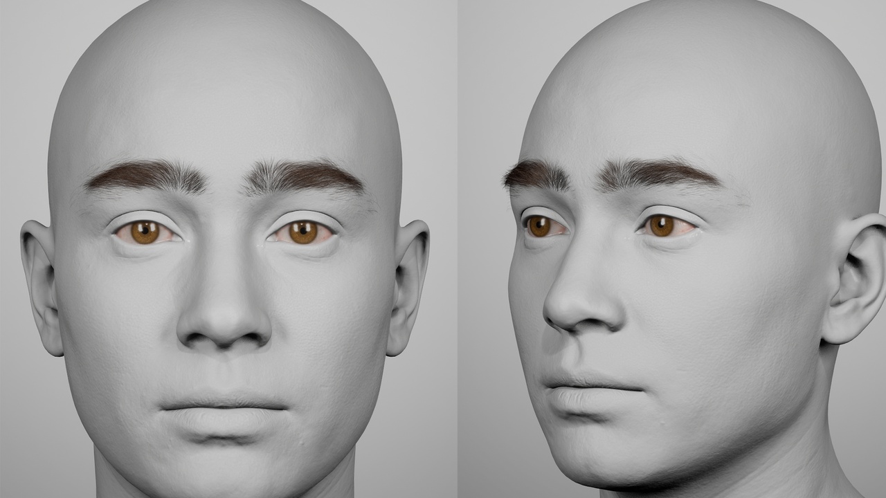 Media 1 for listing Bushy Rugged Male Eyebrows Groom for MetaHuman