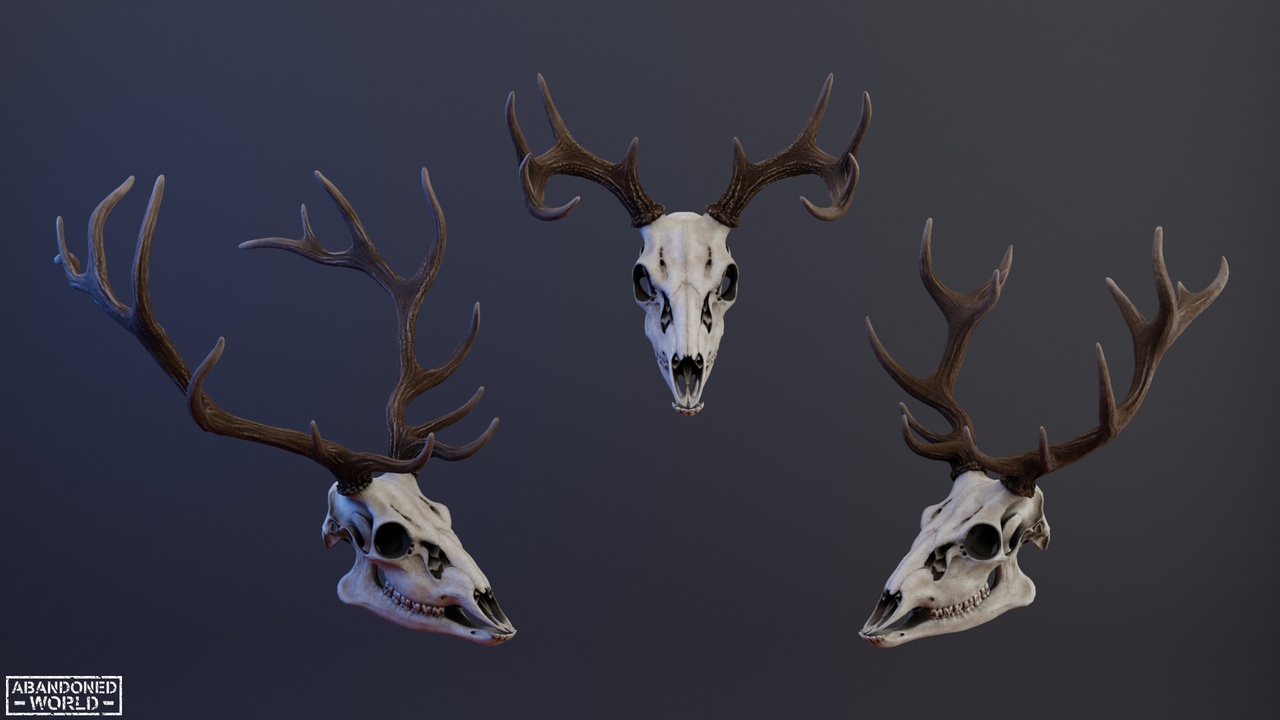 Media 1 for listing Deer Skull