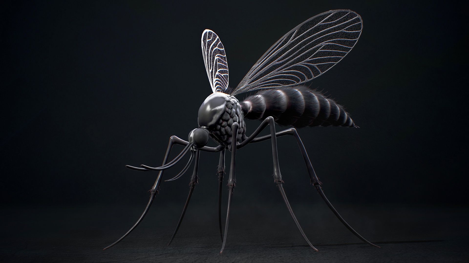Media 1 for listing Mosquito Queen - Fantasy land Mosquitoes