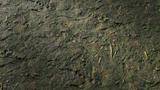 Asset image