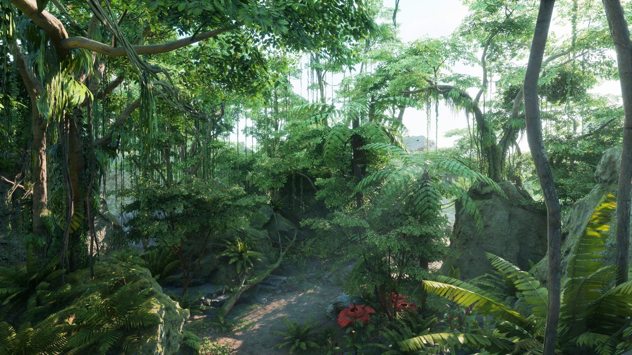 Media 1 for listing Tropical Jungle Pack