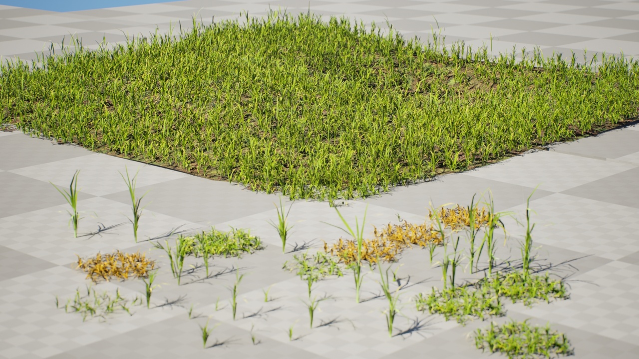 Media 1 for listing Game-Ready Grass Collection: Individual Types & Meadow Asset