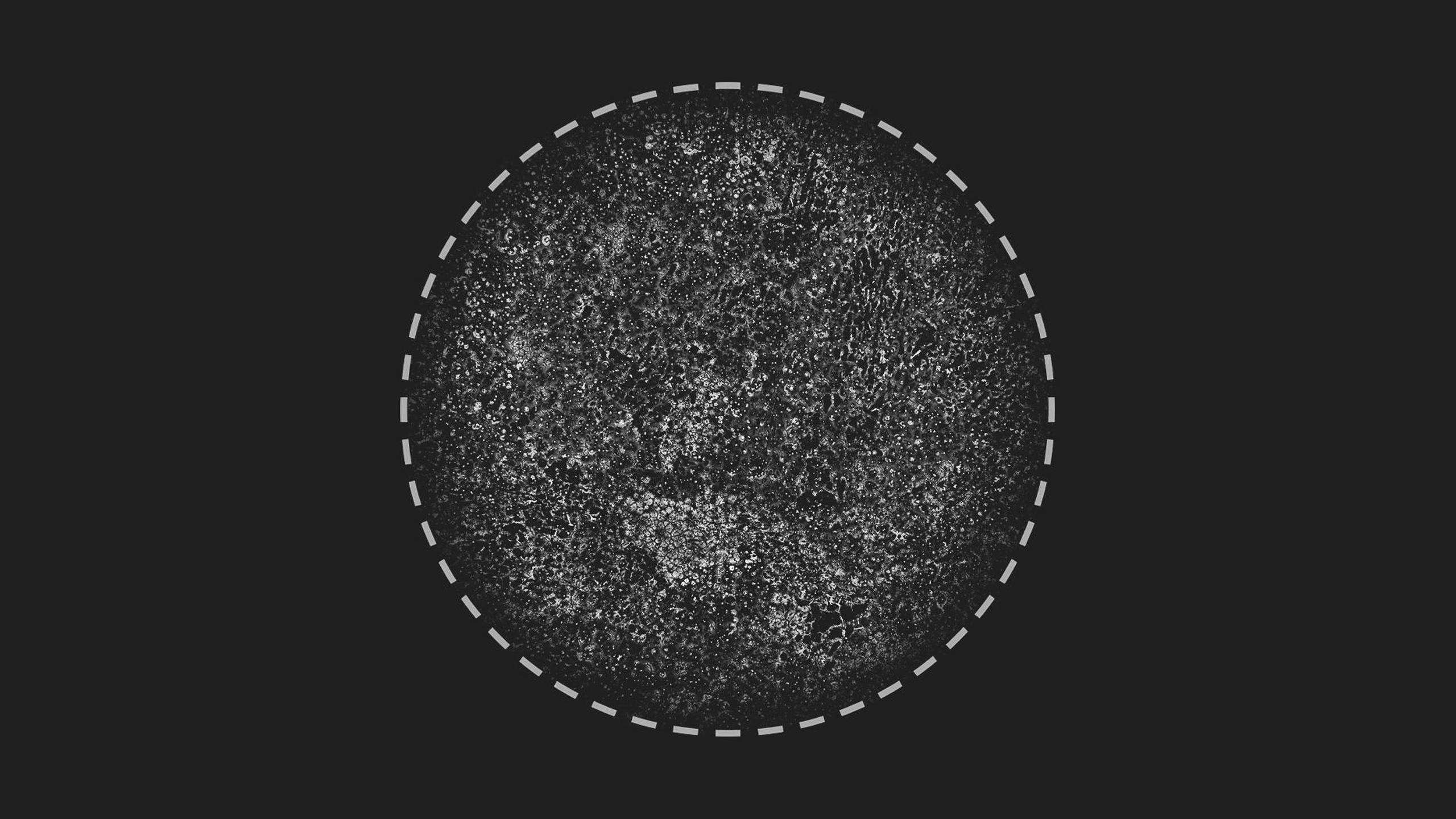 Media 1 for listing Grunge