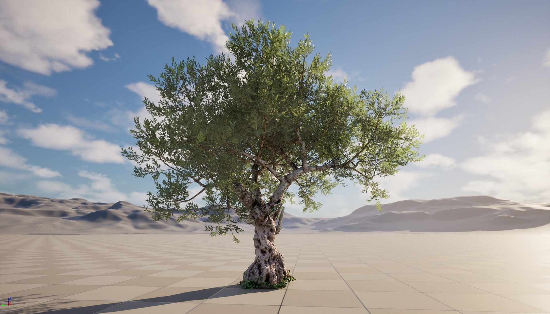 Media 1 for listing Nanite Wind Plants - Scanned Olea europaea - Common olive 01