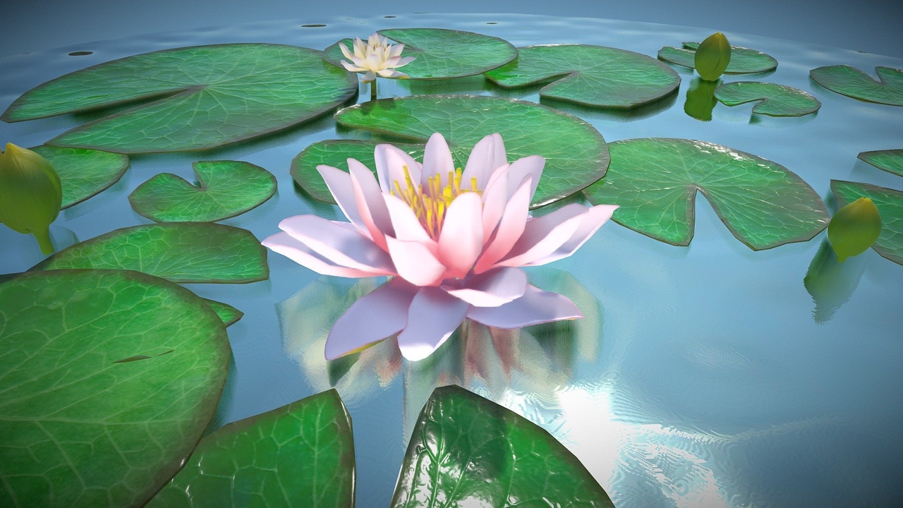 Media 1 for listing Animated blooming water Lily