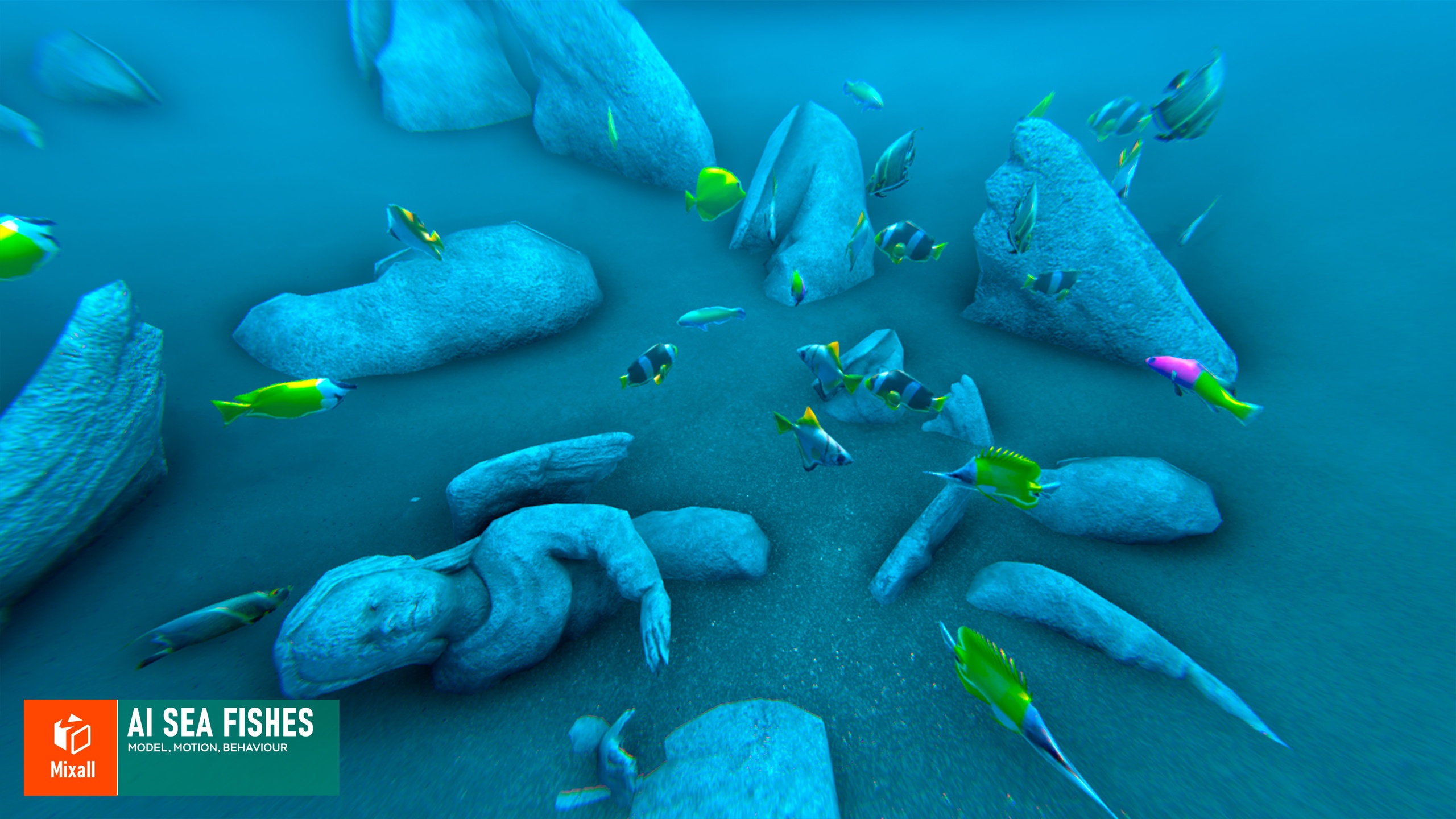 Media 1 for listing Sea Fishes - ready solutions for your project