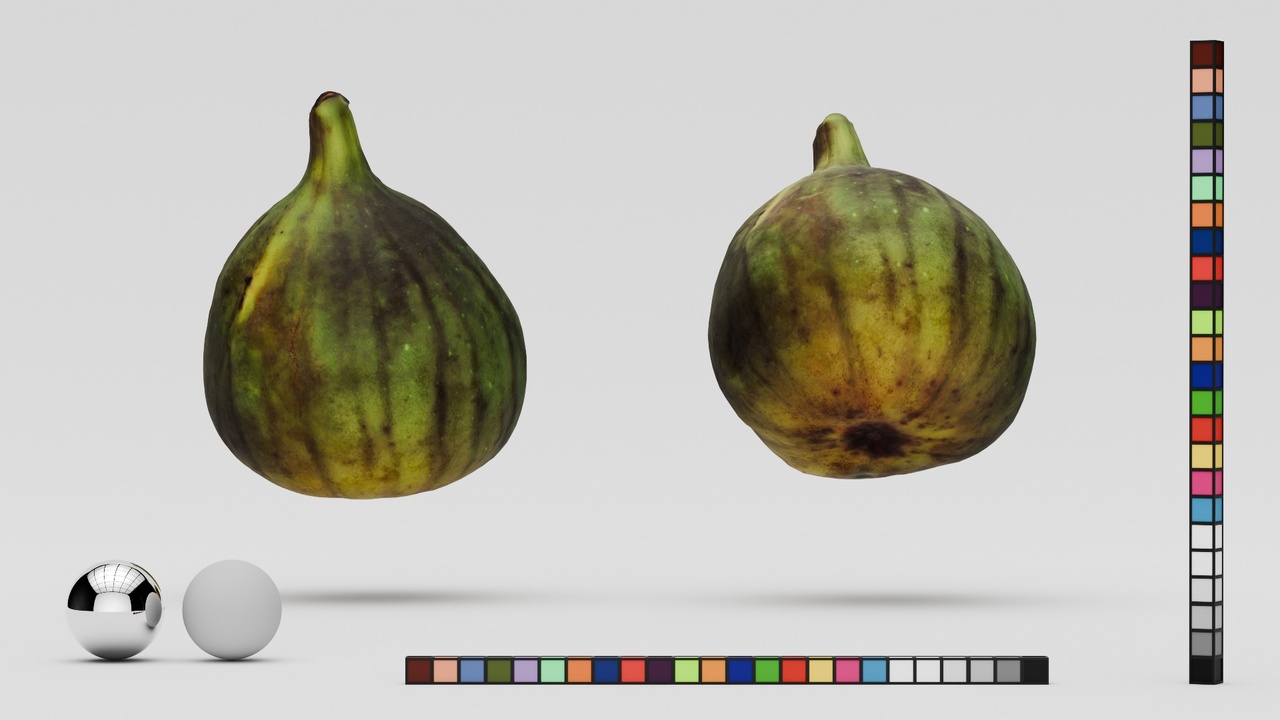 Media 1 for listing 3D Scan - Fig_1