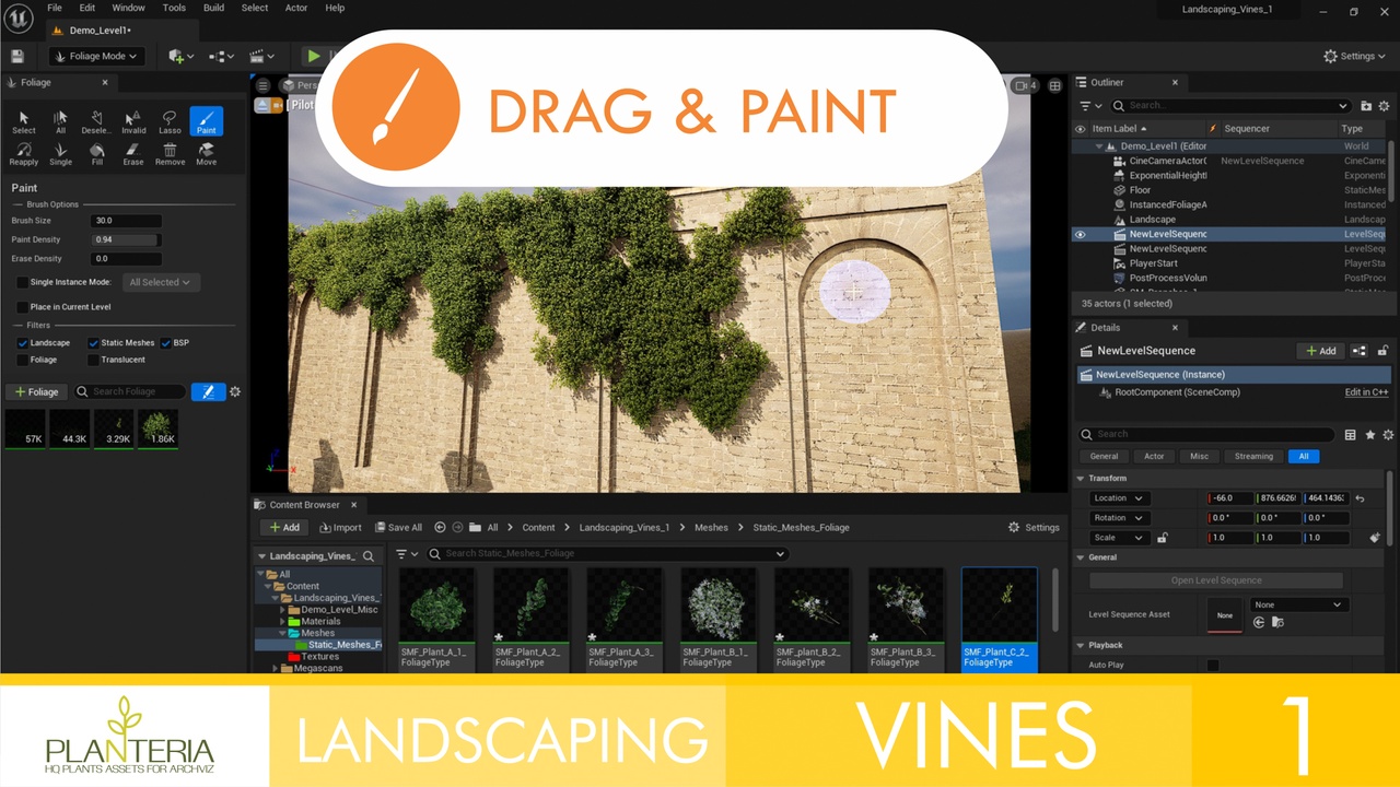 Media 1 for listing Landscaping Vines 1