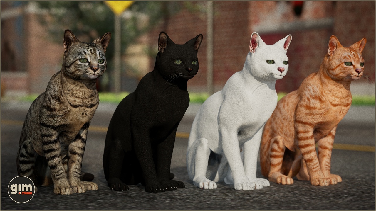 商品 Animalia - Domestic Cat 的媒体 1