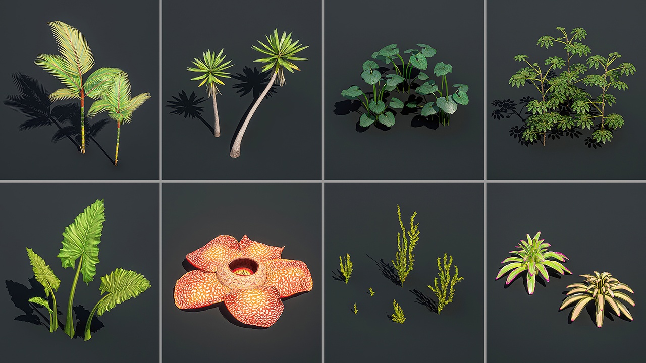 File multimediali per l'articolo World Pack: Jungle Vol #2: 1