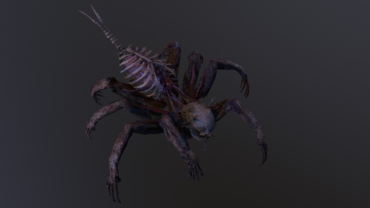 商品 Monster Bone Spider 的媒体 1
