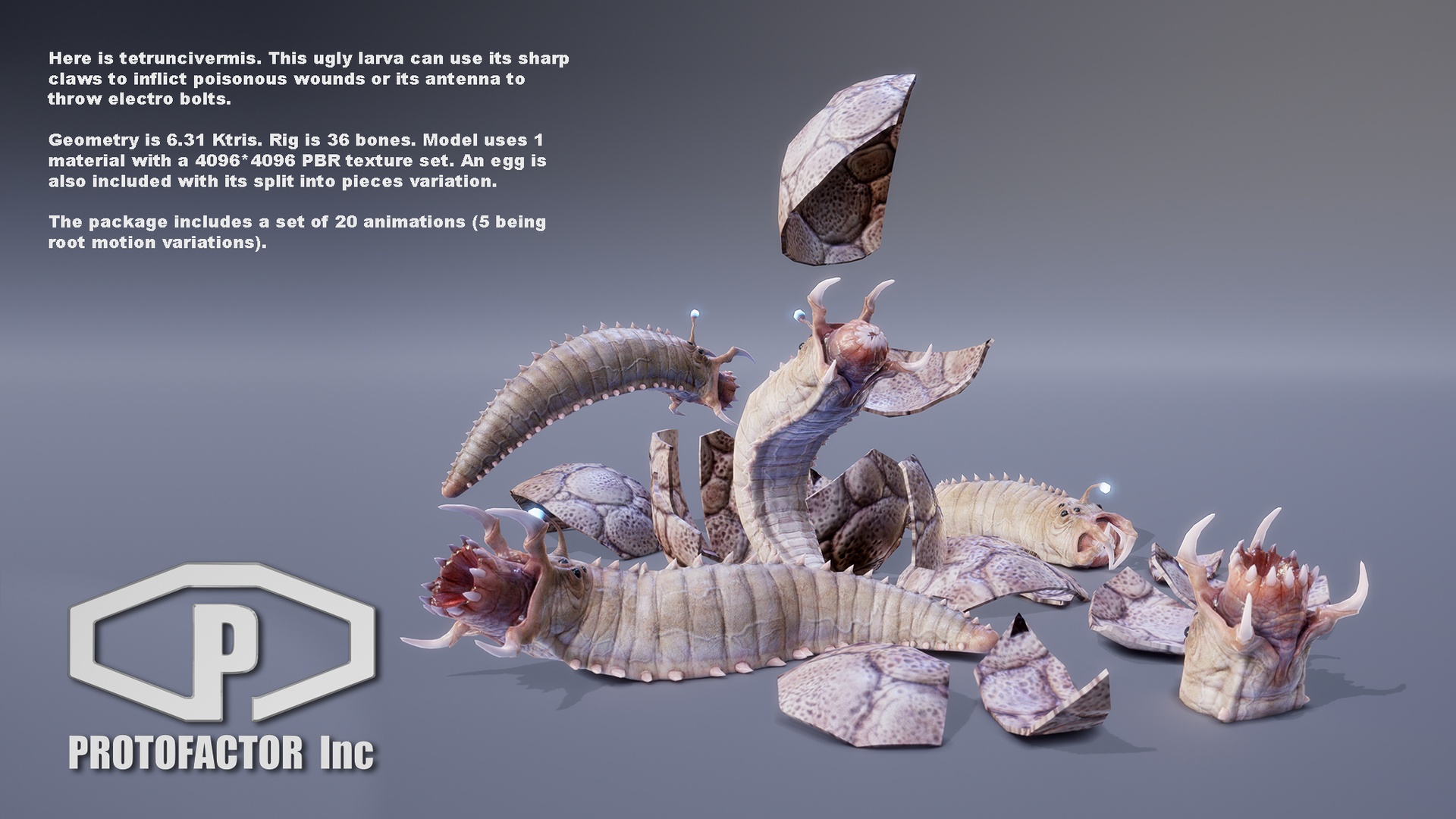 Media 1 for listing MONSTER: TETRUNCIVERMIS