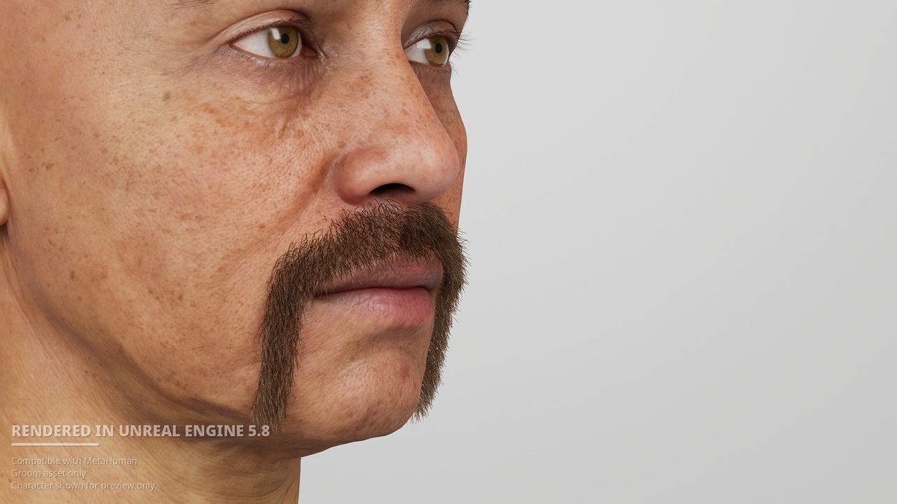 Media 1 for listing Horseshoe Moustache - MetaHuman Groom