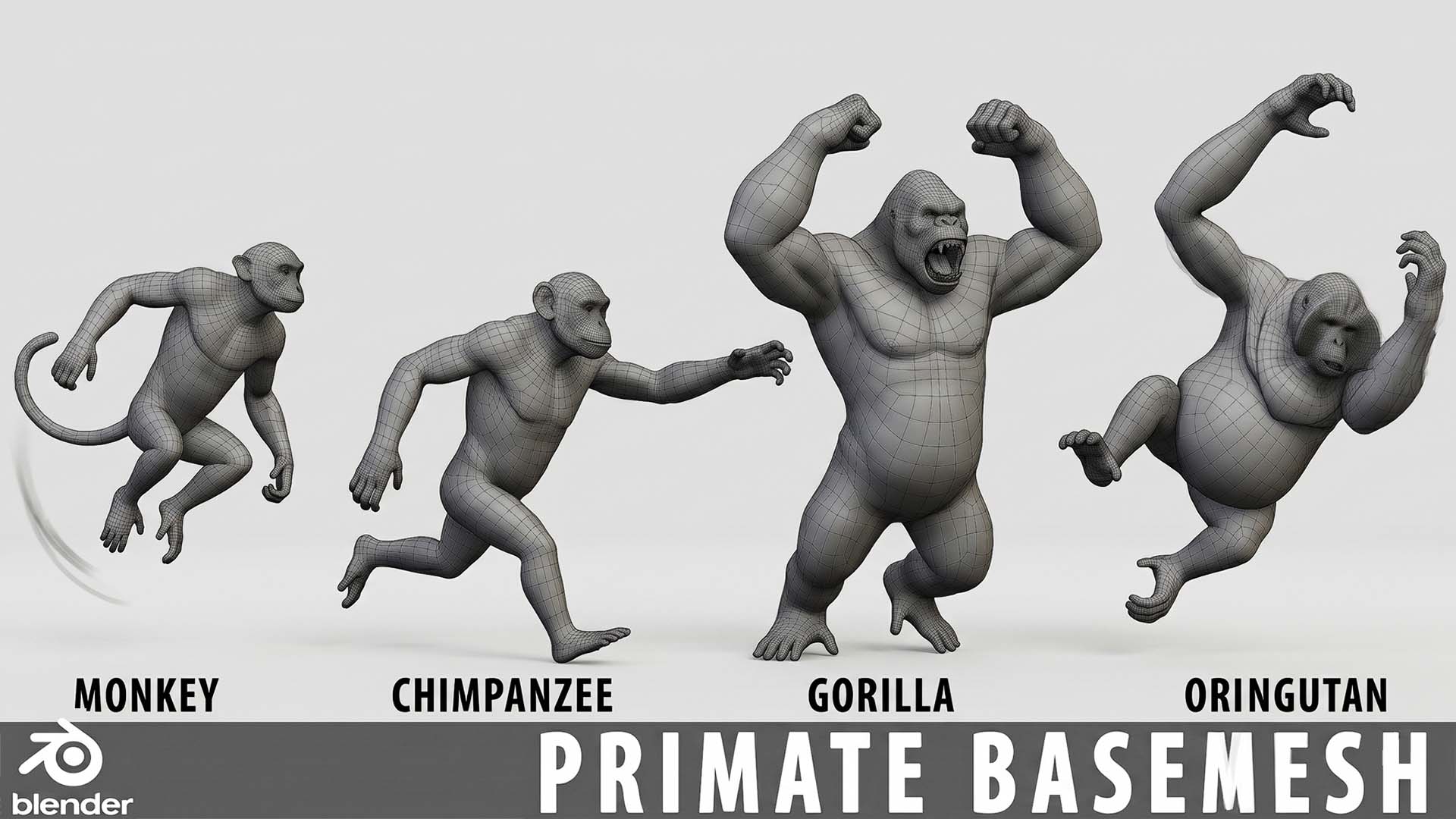 Primate Pack BaseMesh - Topology + UV map | Fab
