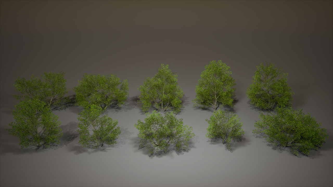 Media 1 for listing Realistic Bush Pack 01(Low Poly)