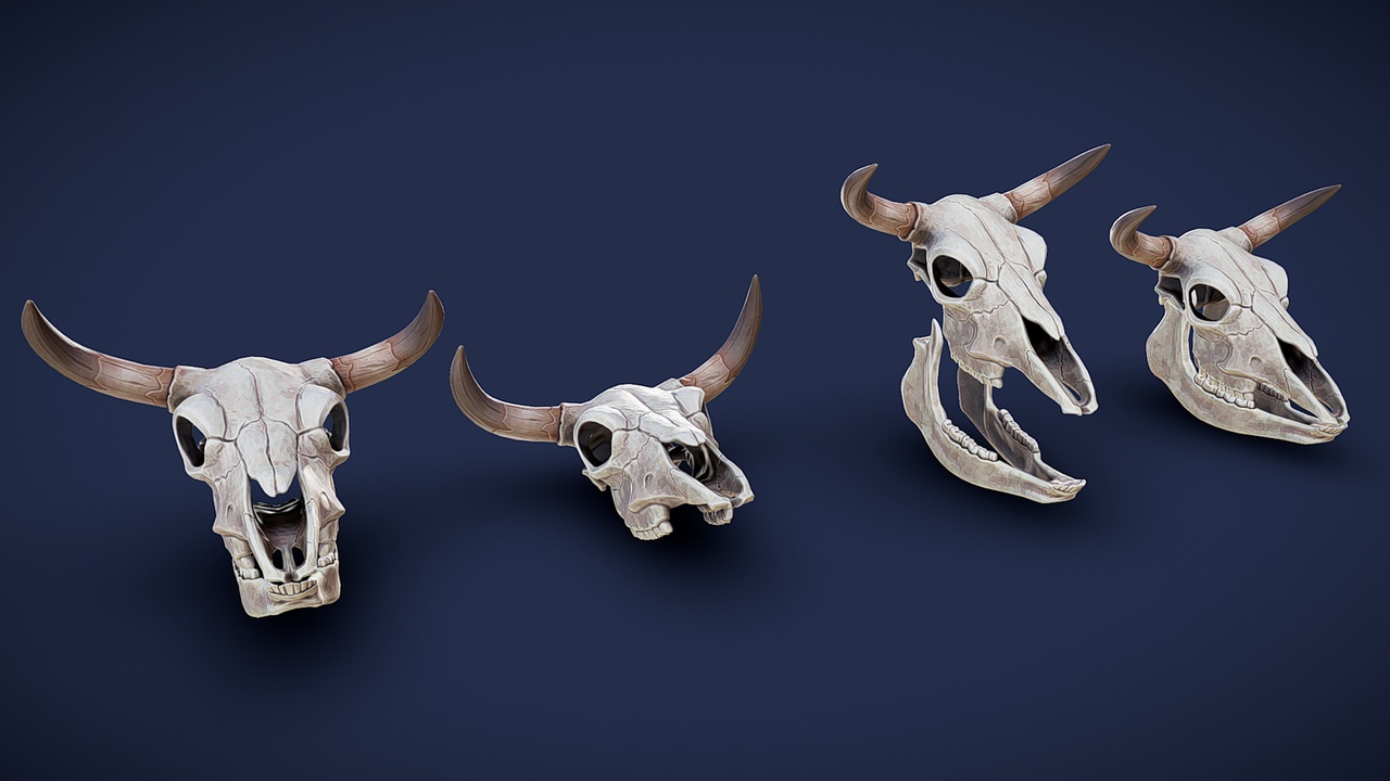 Media 1 for listing Stylized Bull Skull - Game Ready