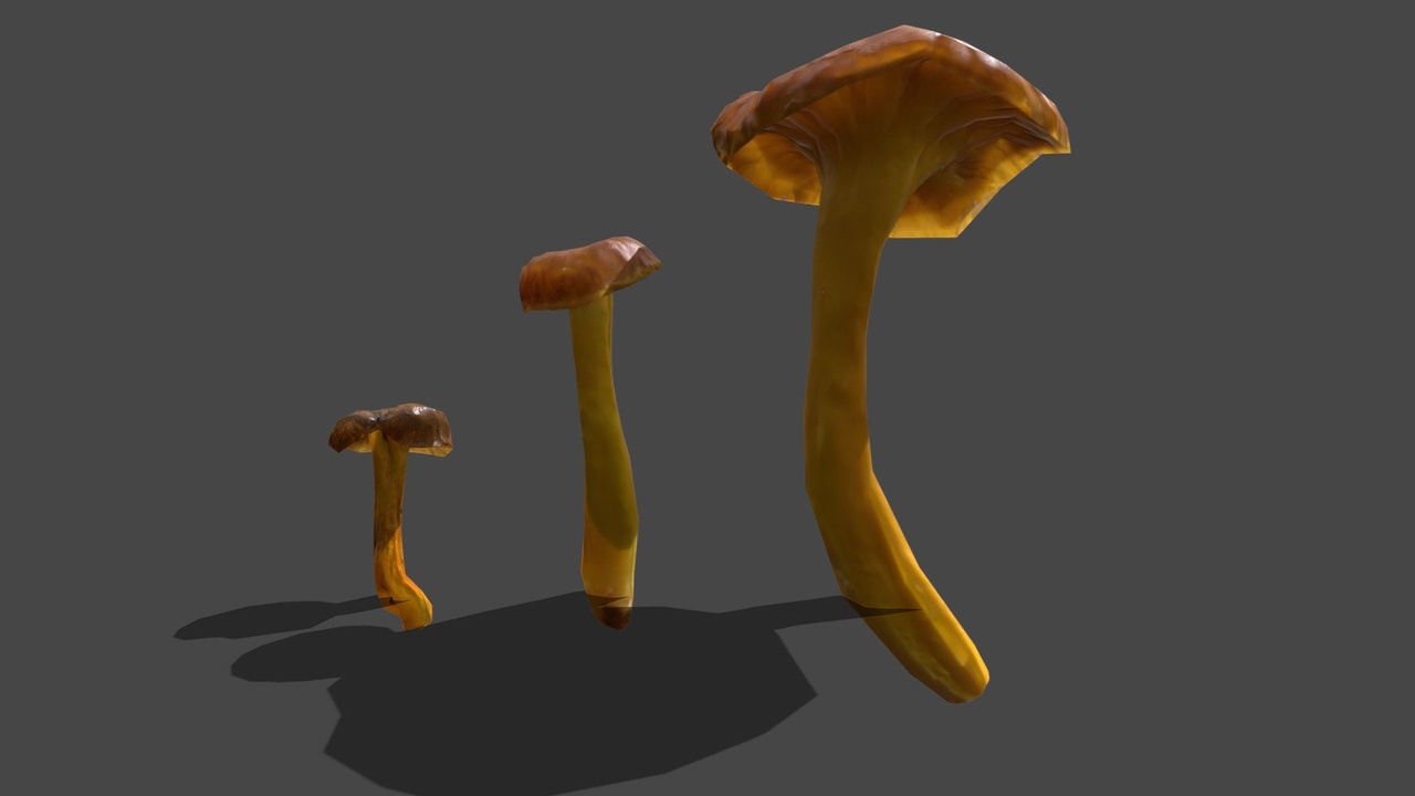 Media 1 for listing Mushroom 27