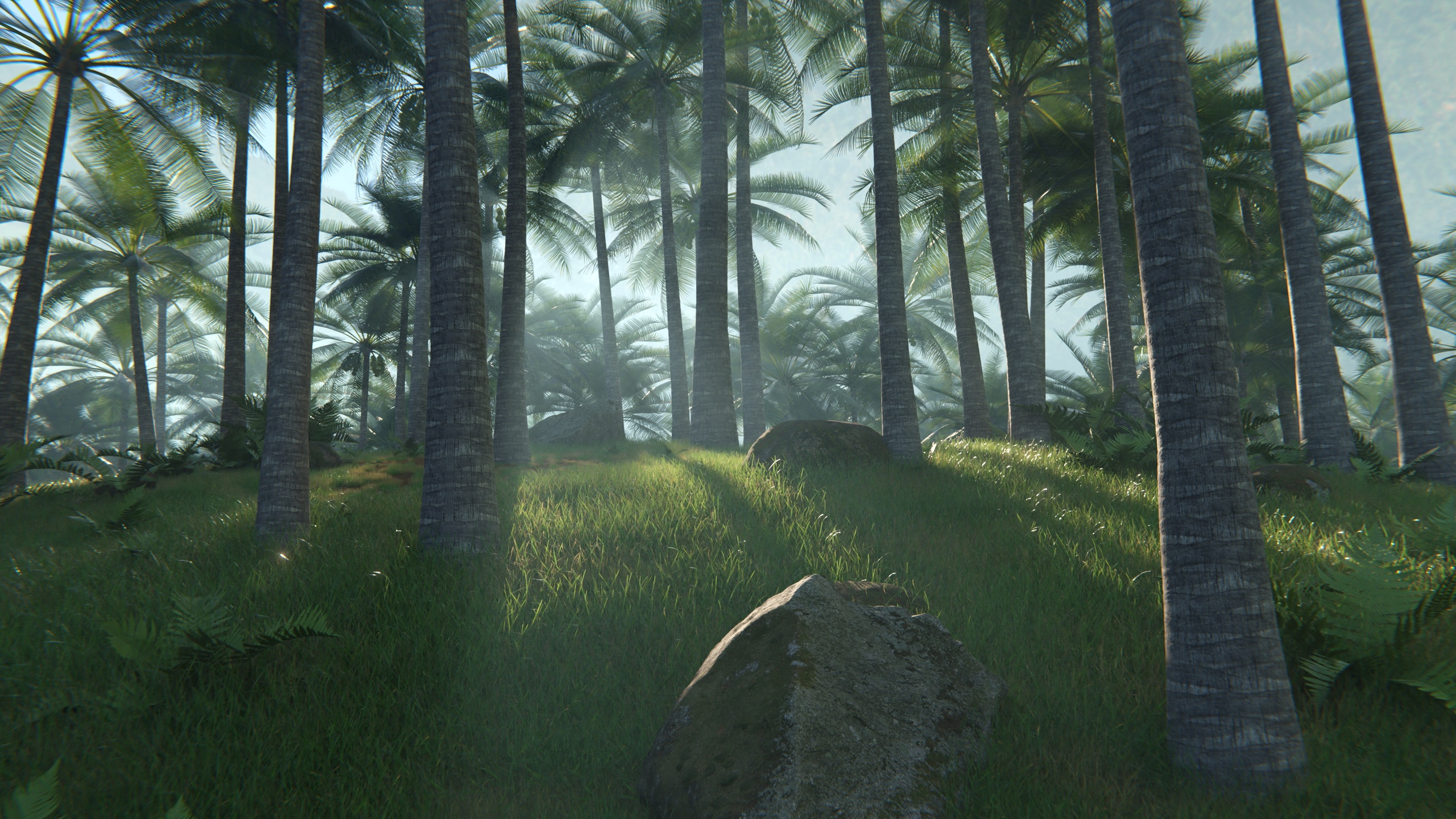 Media 1 for listing Realistic Coconut Tree Forest Environment with River Blender Scene