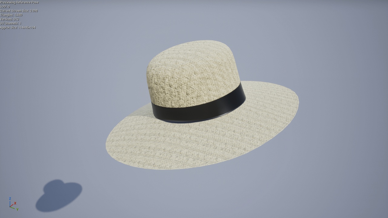 Media 1 for listing Picnic Hat - Metahuman Compatible