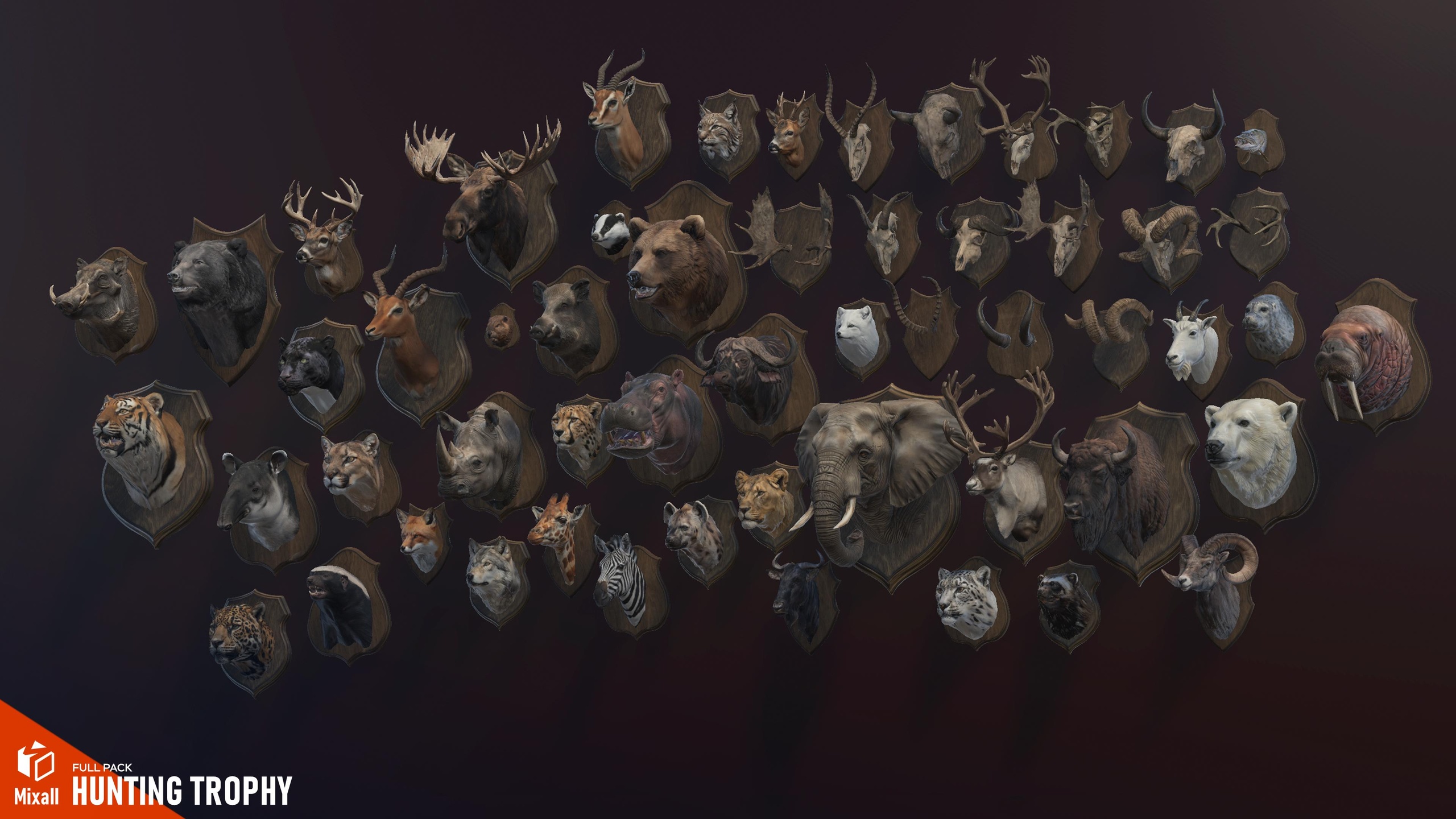 Media 1 for listing 55 Hunting Trophy - Full pack