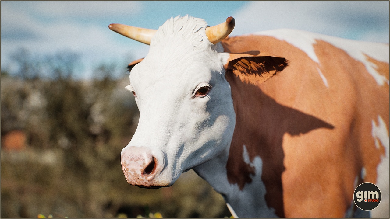 Media 1 for listing Animalia - Cow (female)