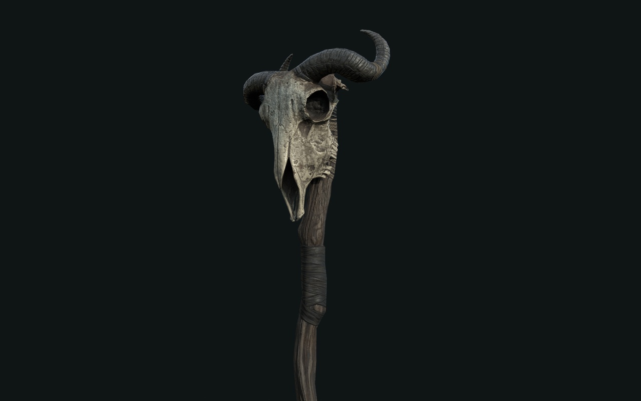 Media 1 for listing Animal Skull Staff