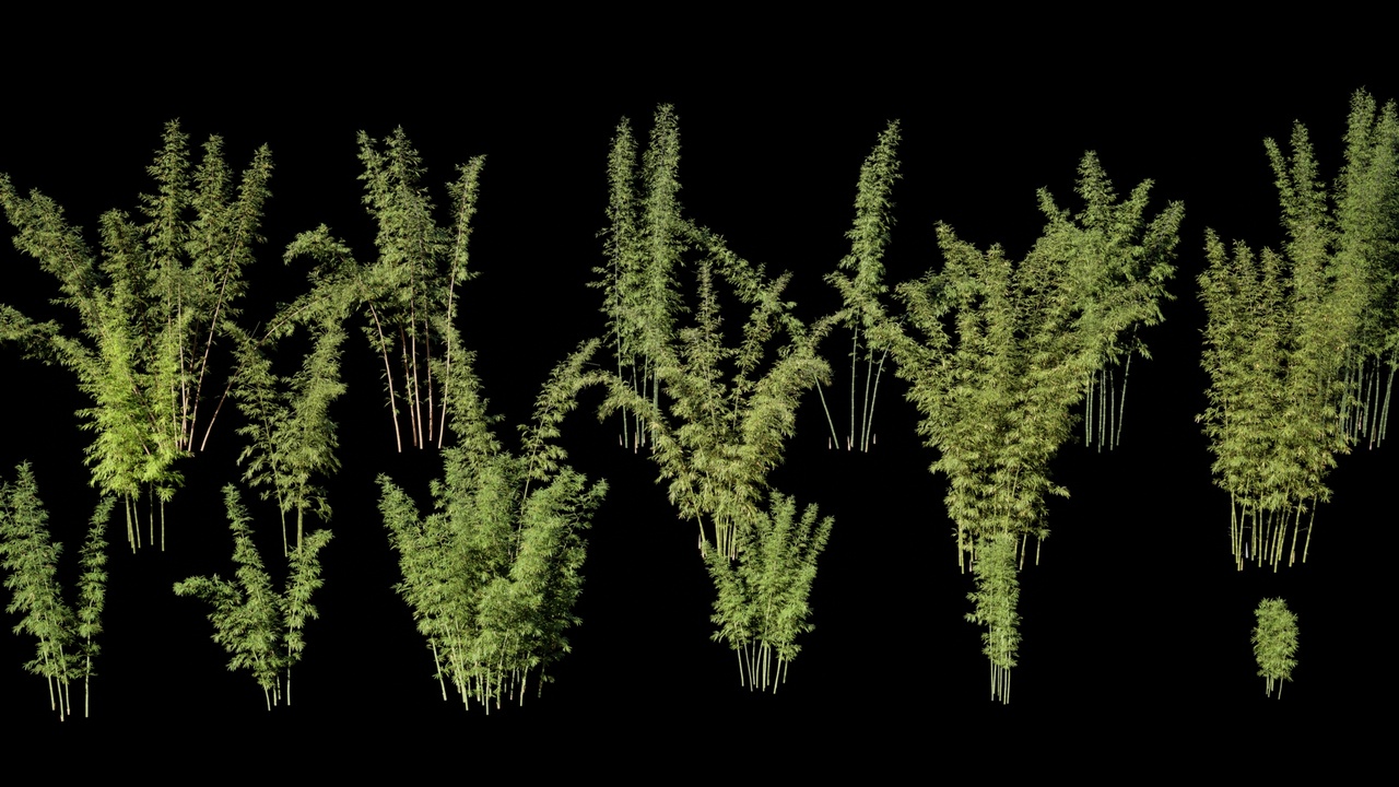 Media 1 for listing High precision bamboo for film and television
