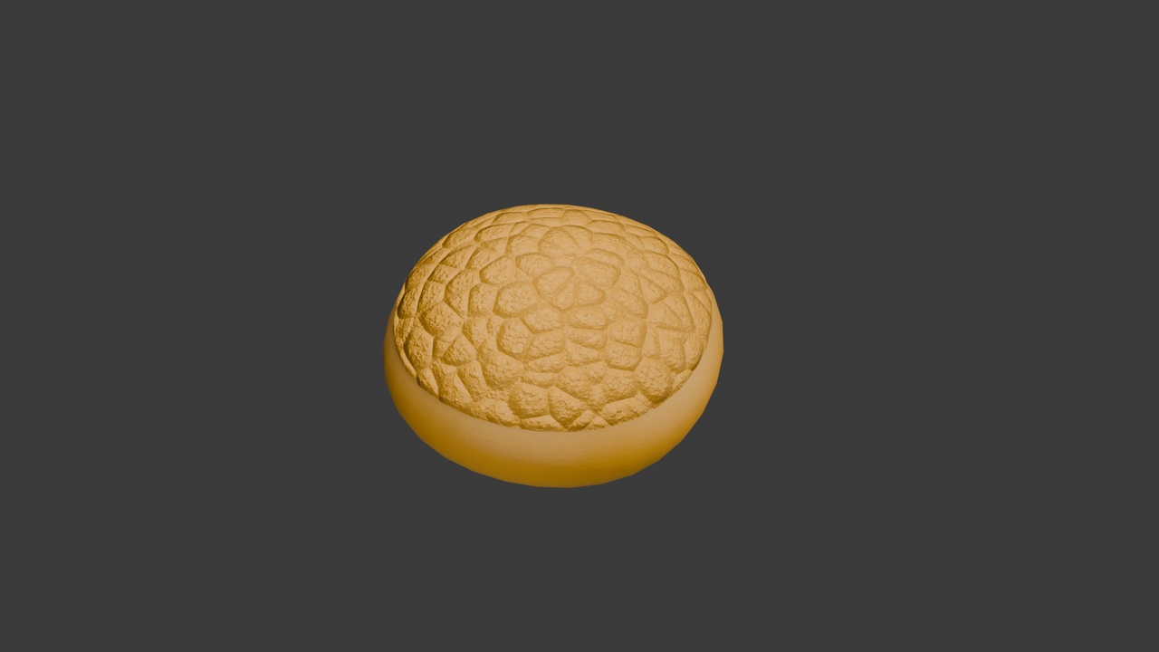 Media 1 for listing 菠萝包 pineapple_bun （blender+fbx）