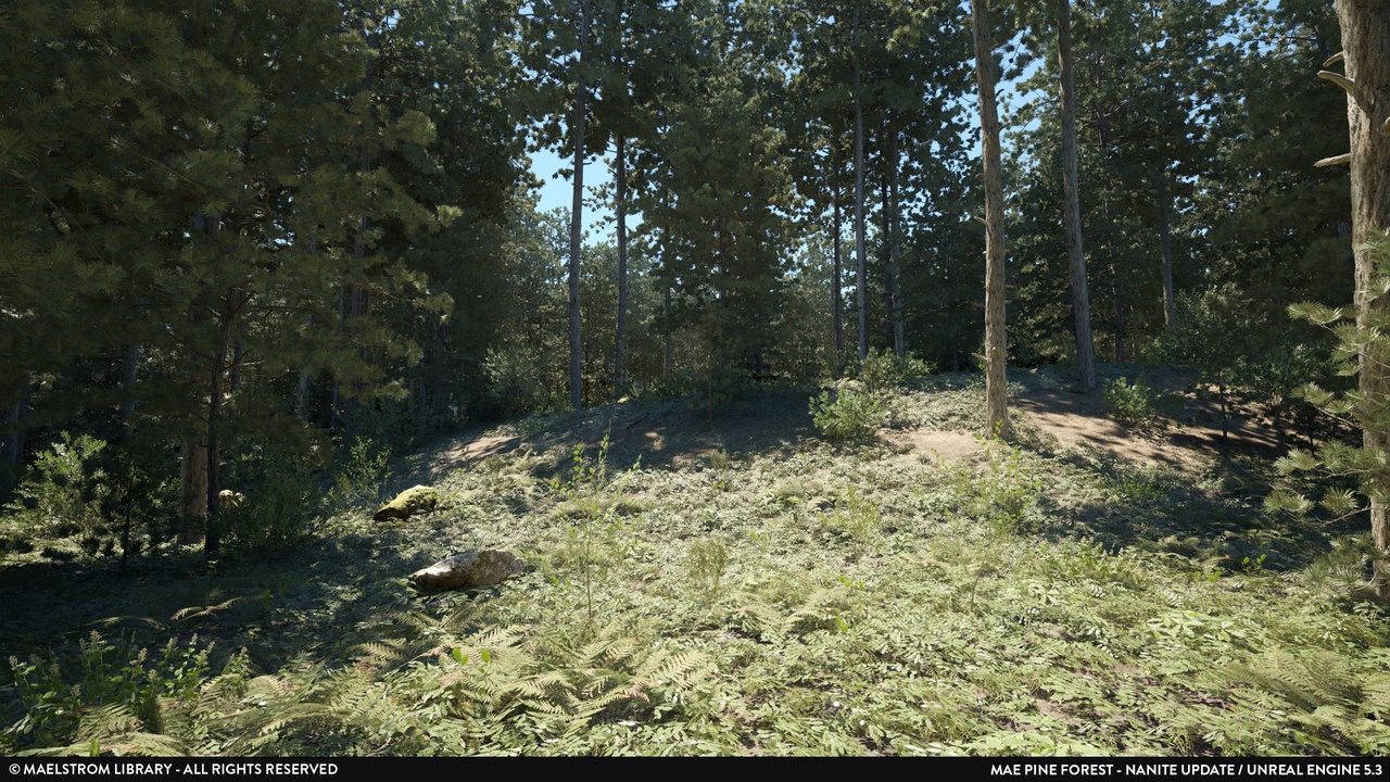 Media 1 for listing MAE Pine Forest