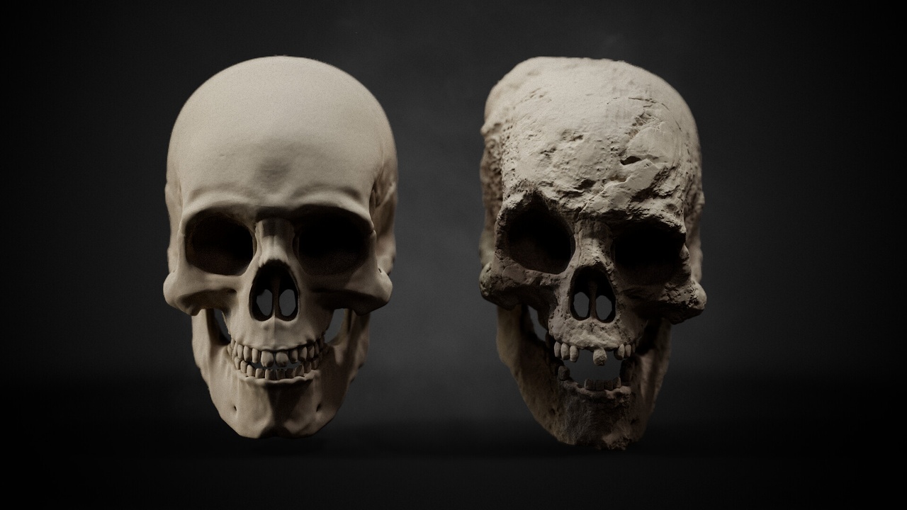 Media 1 for listing Zbrush + Blender | 30 Bone detailing Brushes + Alphas