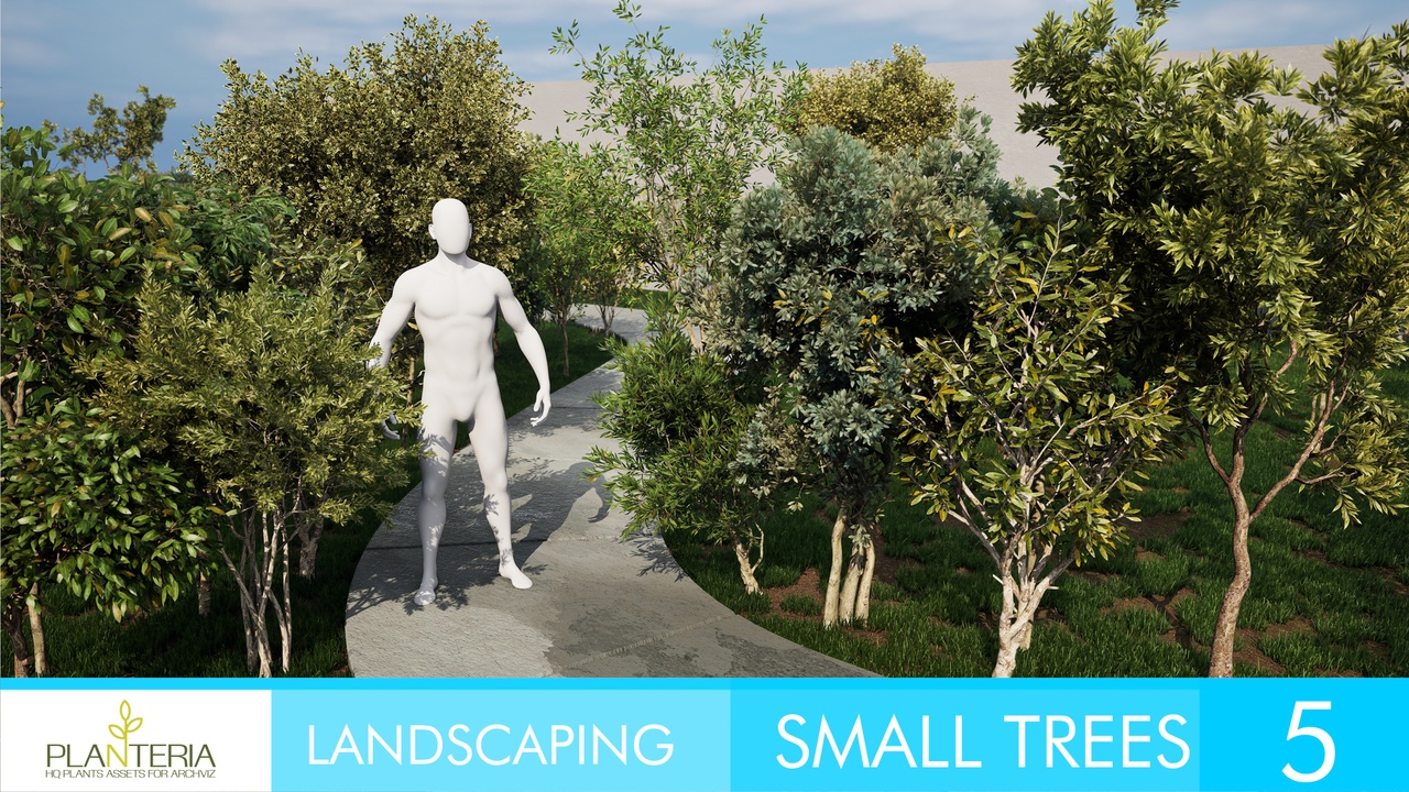 Media 1 for listing Small Trees 5
