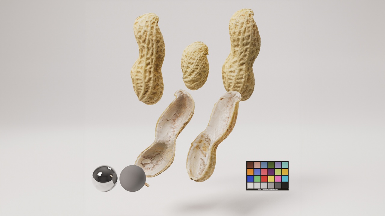 Peanut - Shells 제품 등록을 위한 미디어 1개