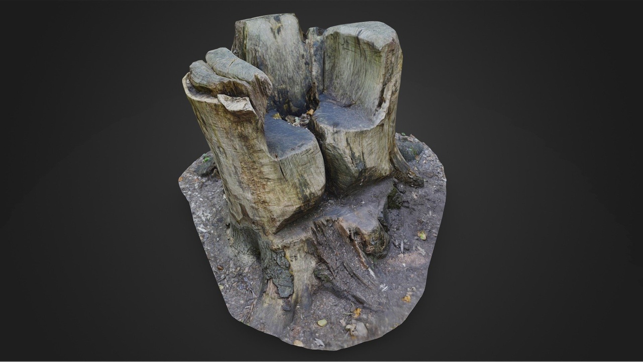 Media 1 for listing Tree Trunk Chair - Natural wooden Throne