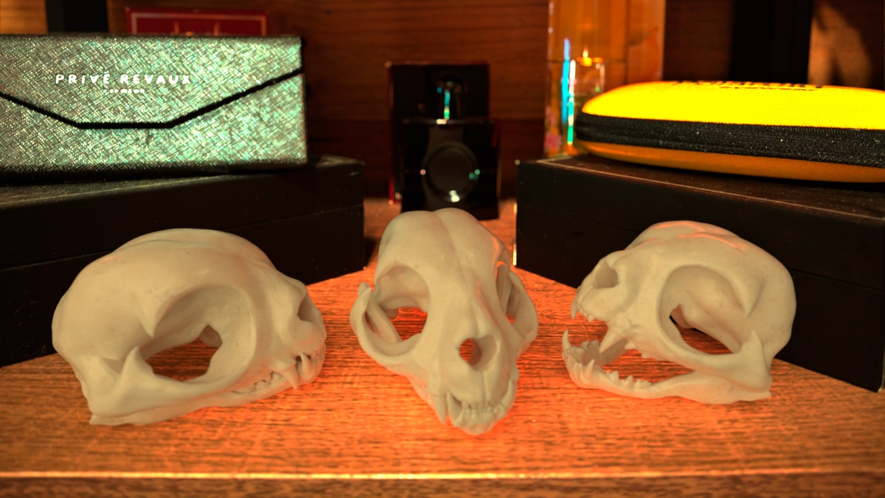 Media 1 for listing Cat Skull | Hand-Sculpted Anatomical STL for 3D Printing