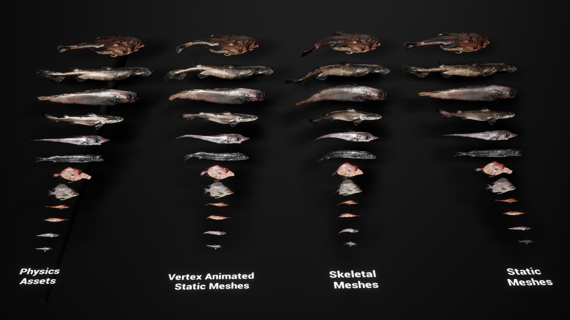 Media 1 for listing Fish - Deep Sea