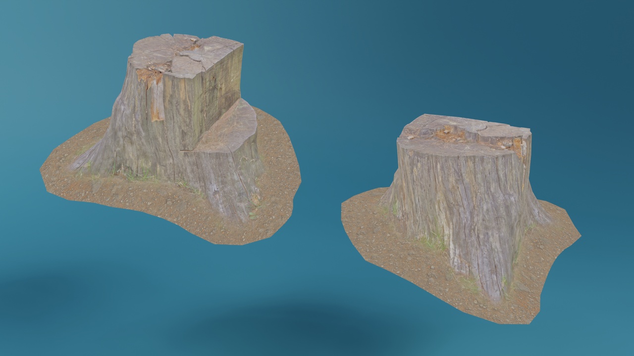 Media 1 for listing Stump photoscan model