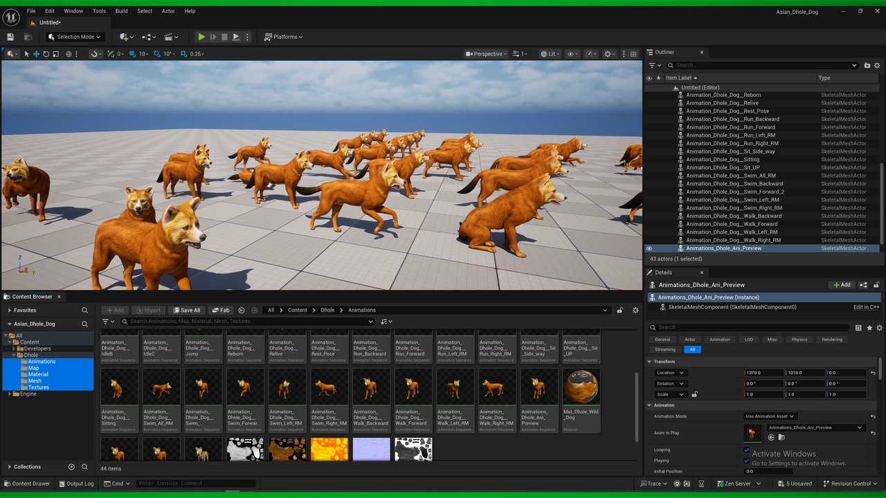 Media 1 for listing Asian Dhole Wild Red Dog