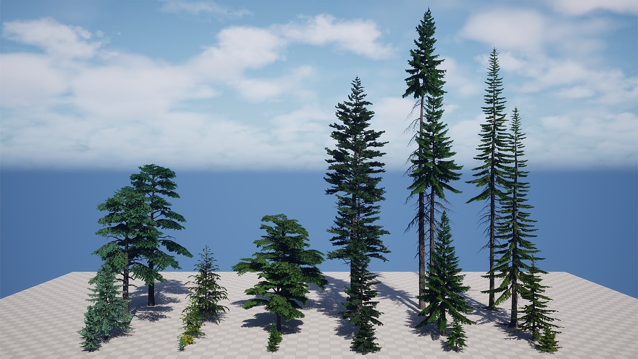 Media 1 for listing AB3D Plants - Volume 11 Cedar and Tsuga