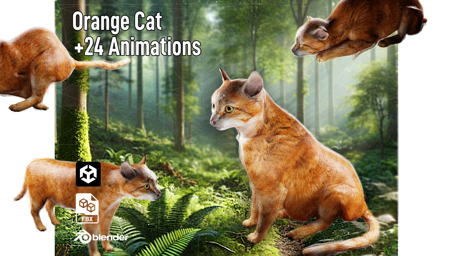 Cat - Orange Cat - Animated | Fab