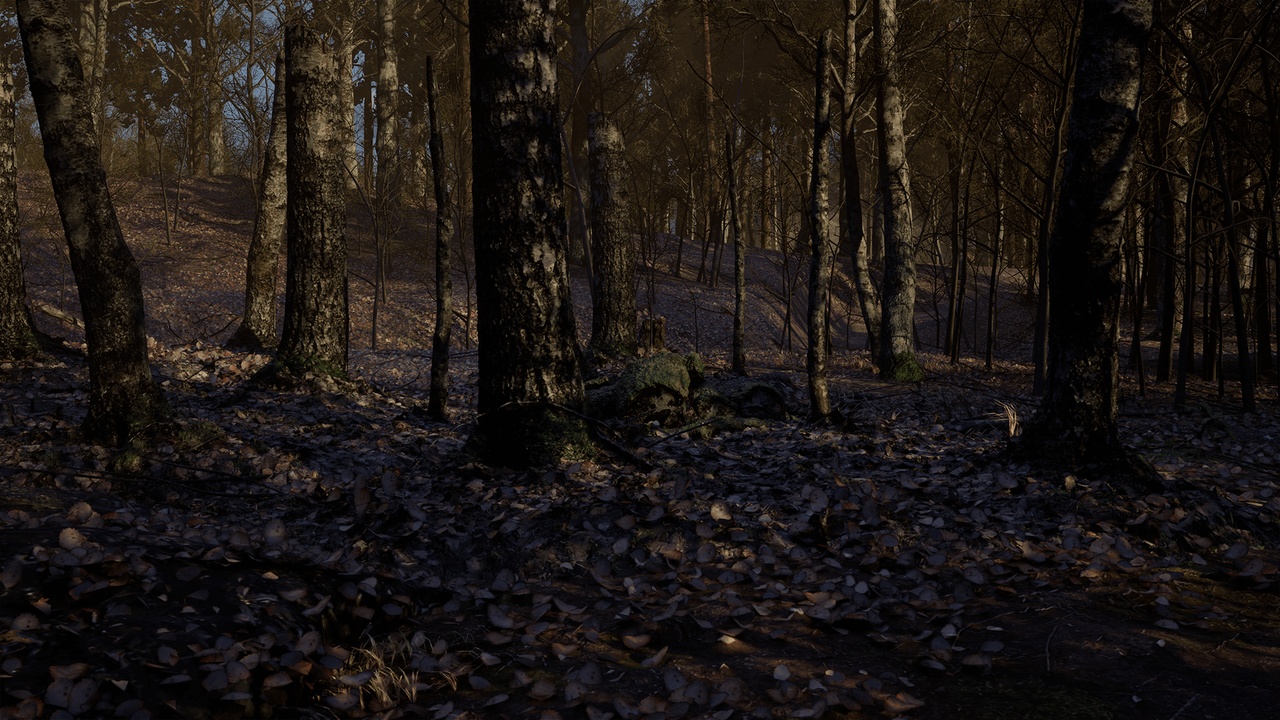 Media 1 for listing Wild Forest – Autumn Wilderness