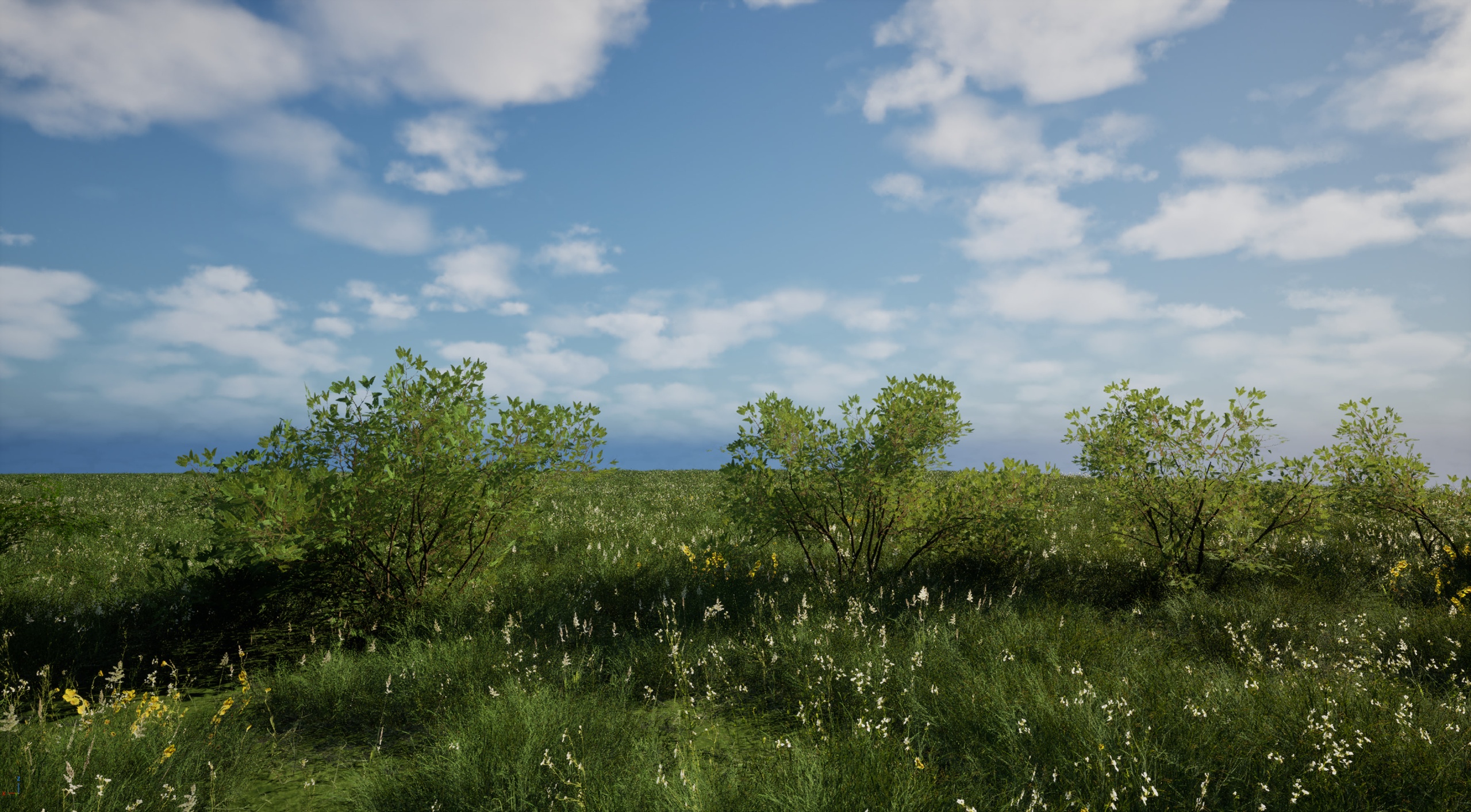 Media 1 for listing Eastern European Trees