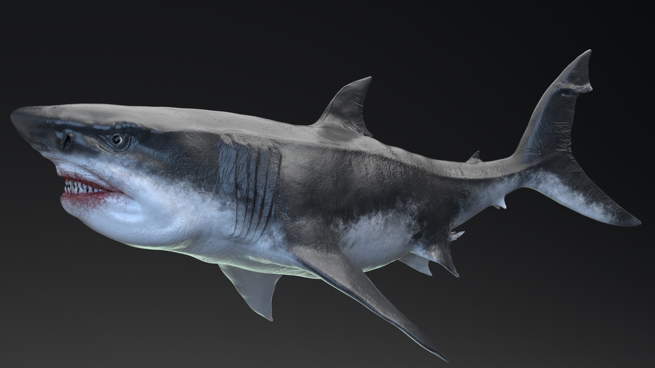 商品 Dinosaur MEGALODON - Sea Monster Series 5 的媒体 1