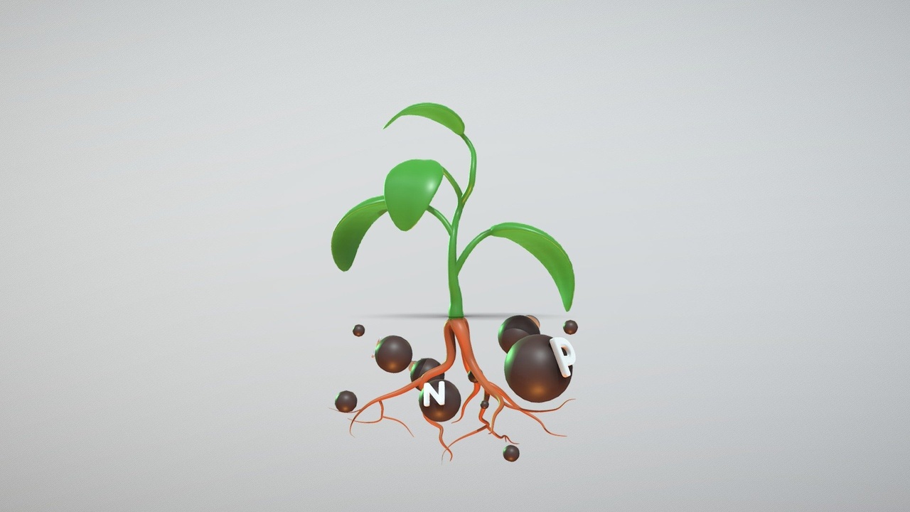 Media 1 for listing Nutrition System, Plant with root