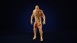 Asset image