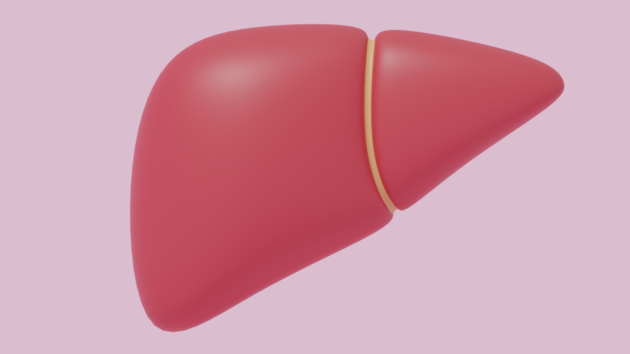 Media 1 for listing Cartoon Liver Stylized