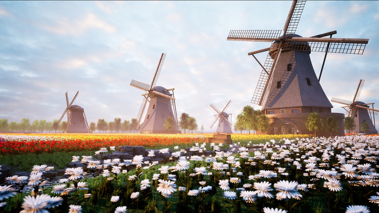 Media 1 for listing Flower Meadows