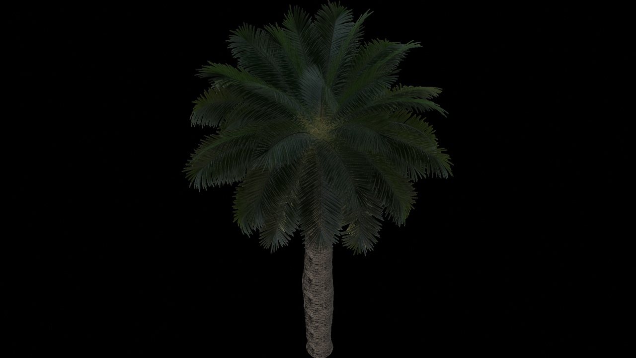 Media 1 for listing Detailed Tropical Palm Tree