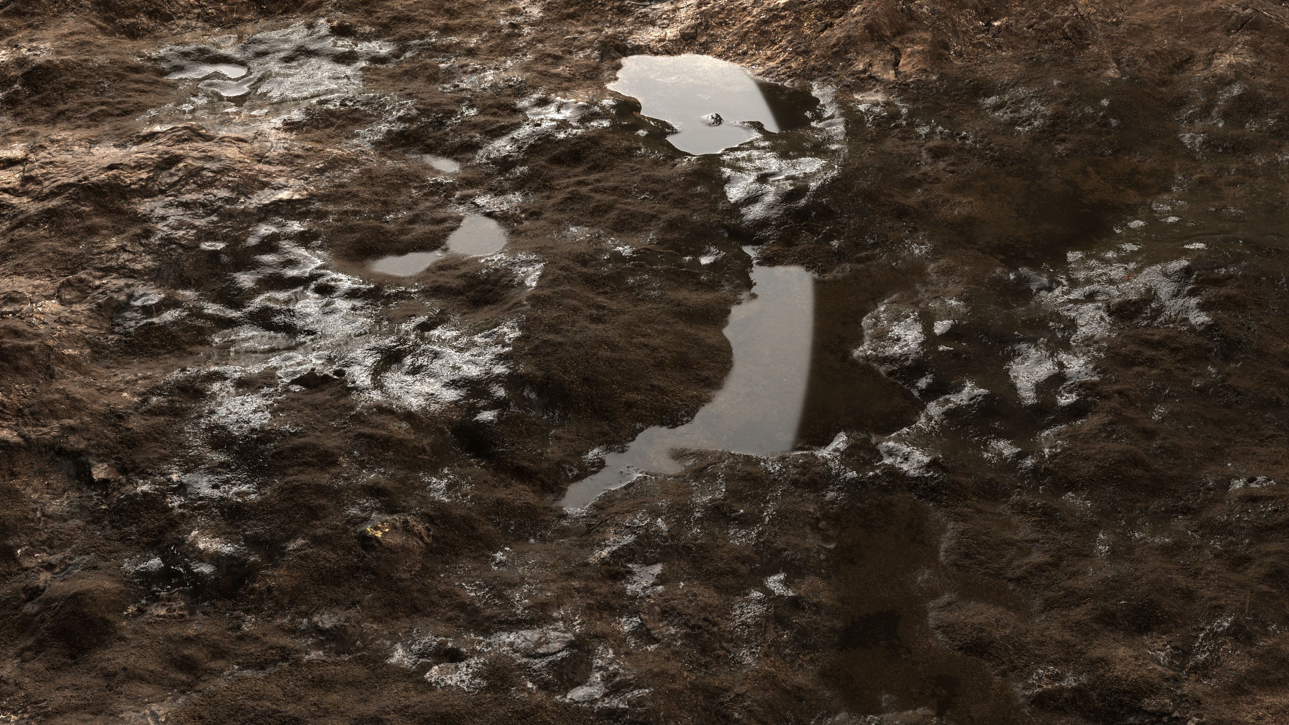 Media 1 for listing Wet Rock 8K PBR Texture