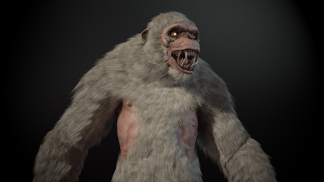 Media 1 for listing Yeti